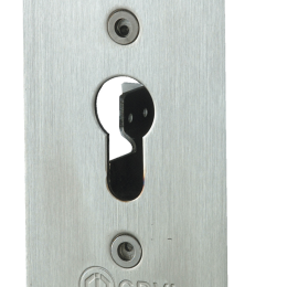 CDV-CACE Contacteur À Clé Inox Encastré 4 C No/Nf