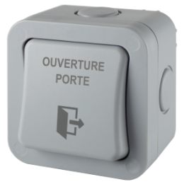 IZX-EXSW90AP Bouton poussoir IP 66 Ap 92 x 92 x 55/65 mm Contact inverseur CO/NO/NF