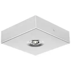 BAES Ambiance discret BLOC.TECH D  Flux 345 lm Autonomie 1H - LiFePO4 IP20/IK04 - METAL