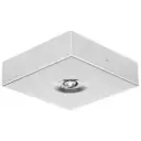 BAES Ambiance discret BLOC.TECH D  Flux 345 lm Autonomie 1H - LiFePO4 IP20/IK04 - METAL