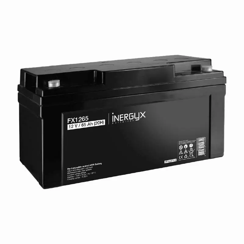 Batterie rechargeable VRLA INERGYX, 12V / 65 Ah - Bac FR UL94 V-0 - 350 x 167 x 178 mm - Insert fileté M6