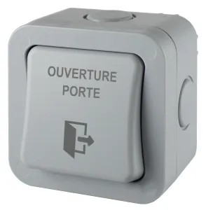 Bouton poussoir ABS étanche IP66, pour pose en applique, 92 x 92 x 65/55 mm, 1 contact inverseur CO/NO/NF, picto et texte OUVERTURE PORTE