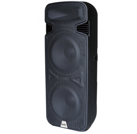 Enceinte amplifiée 500 W -  2 x 15" USB / SD / MP3 / Tuner FM / BLUETOOTH / 2 micros main