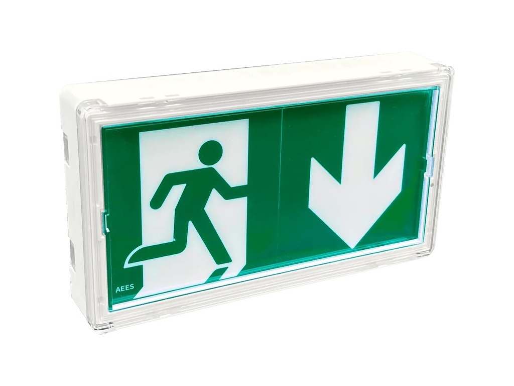 LUMIO 45 ST+ BAES Evacuation 100% LED 45 lm / 1h / 0.9W 1.1VA / IP42 IK08 / SATI