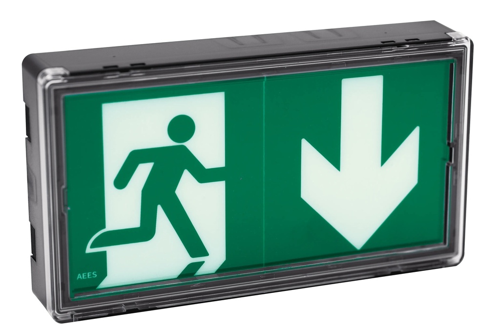 LUMIO 45 ST+ NOIR BAES Evacuation 100% LED 45 lm / 1h / 0.9W 1.1VA / IP42 IK08 / SATI