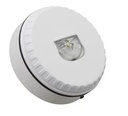 Solista LX Wall dispositif visuel d'alarme Feu EN54-23 Boitier Blanc/Flash rouge Position Wall 9v à 60 v Embase haut profil IP65 arrivé cable diametralement opposé W-2,4-2,5 à W-2,4-7,5;flash configurable couleur rouge ou blanche 