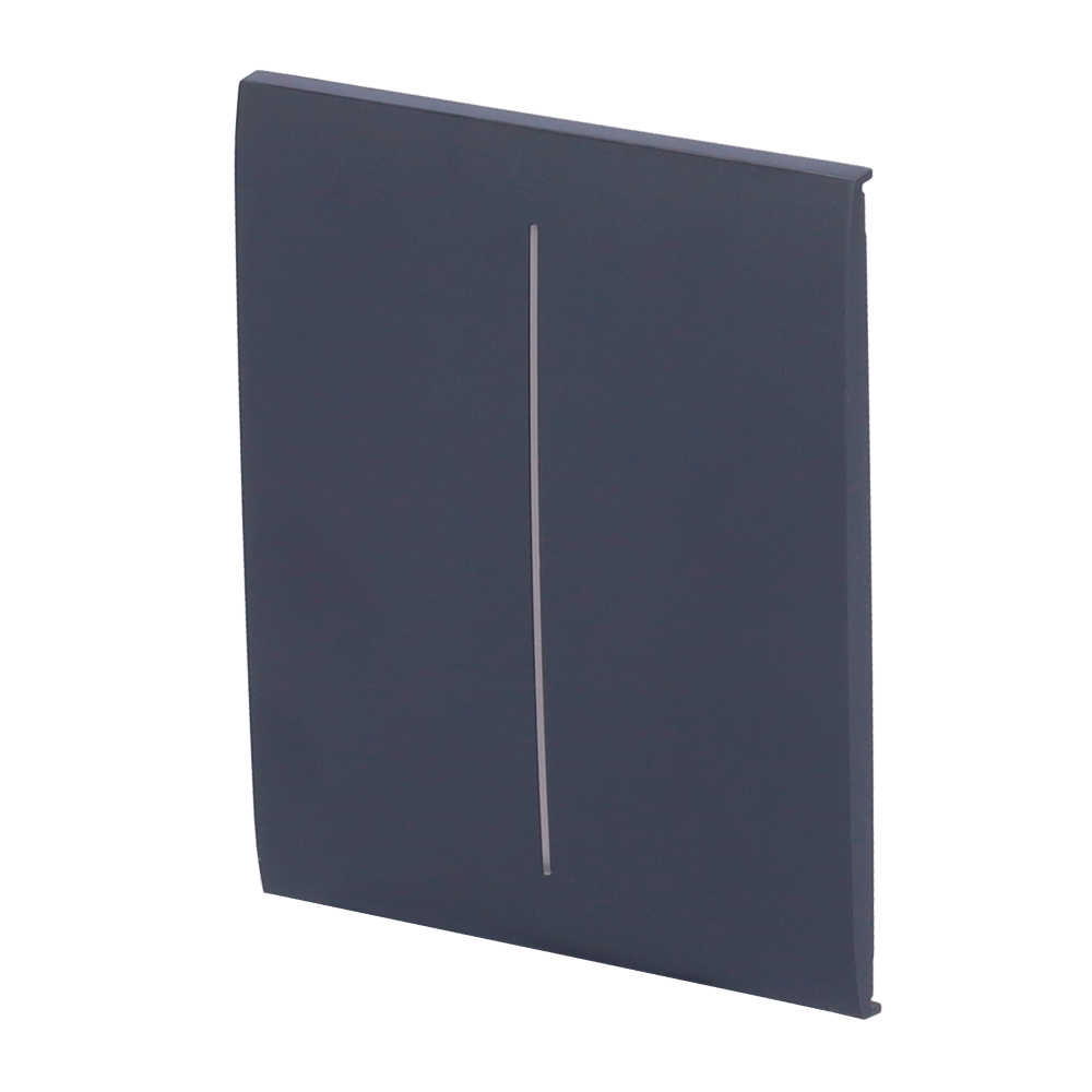Panneau tactile pour double interrupteur d'éclairage  - Compatible avec AJ-LIGHTCORE-2G - Rétro-éclairage LED - Panneau tactile central sans contact - Couleur graphite - Ajax - LightSwitch CenterButton