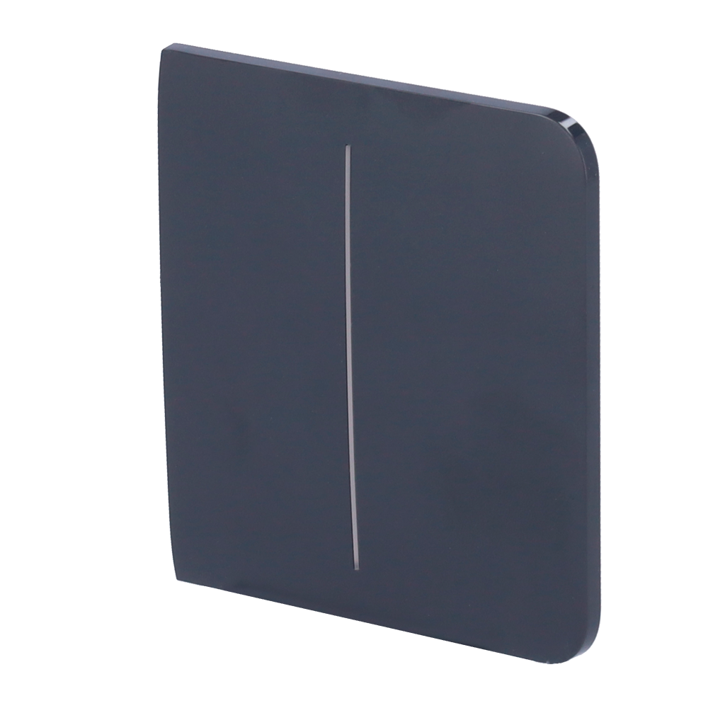 Panneau tactile pour double interrupteur d'éclairage - Compatible avec AJ-LIGHTCORE-2G - Rétro-éclairage LED - Panneau tactile latéral sans contact - Couleur graphite - Ajax - LightSwitch SideButton