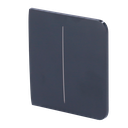 Panneau tactile pour double interrupteur d'éclairage - Compatible avec AJ-LIGHTCORE-2G - Rétro-éclairage LED - Panneau tactile latéral sans contact - Couleur graphite - Ajax - LightSwitch SideButton