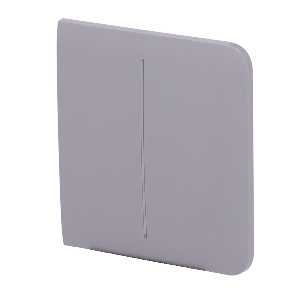 Panneau tactile pour double interrupteur d'éclairage - Compatible avec AJ-LIGHTCORE-2G - Rétro-éclairage LED - Panneau tactile latéral sans contact - Couleur Gris - Ajax - LightSwitch SideButton