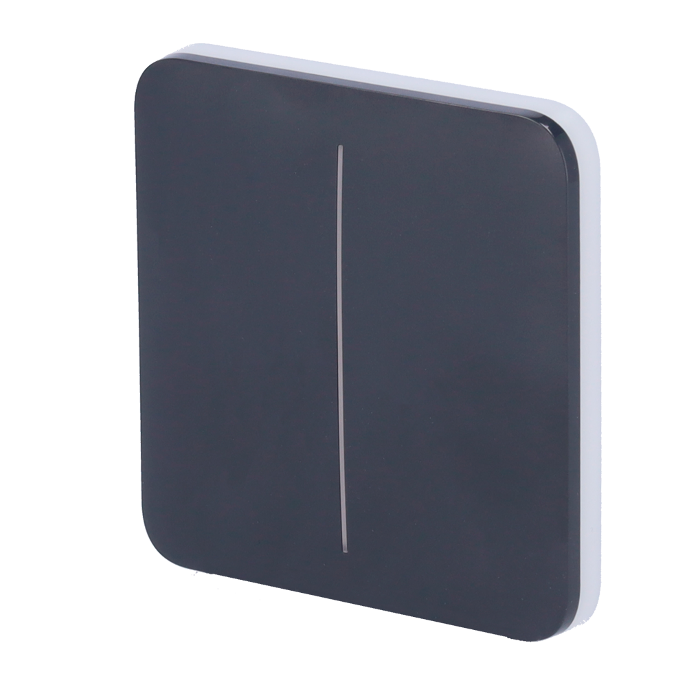 Panneau tactile pour double interrupteur d'éclairage  - Compatibilité avec AJ-LIGHTCORE-2G - Rétro-éclairage LED - Clavier tactile sans contact - Couleur graphite - Ajax - LightSwitch SoloButton