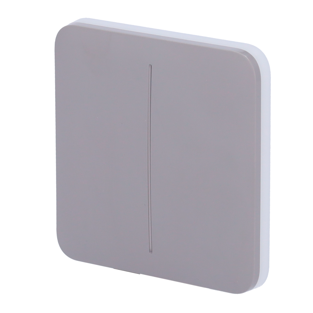 Panneau tactile pour double interrupteur d'éclairage  - Compatibilité avec AJ-LIGHTCORE-2G - Rétro-éclairage LED - Clavier tactile sans contact - Couleur Gris - Ajax - LightSwitch SoloButton