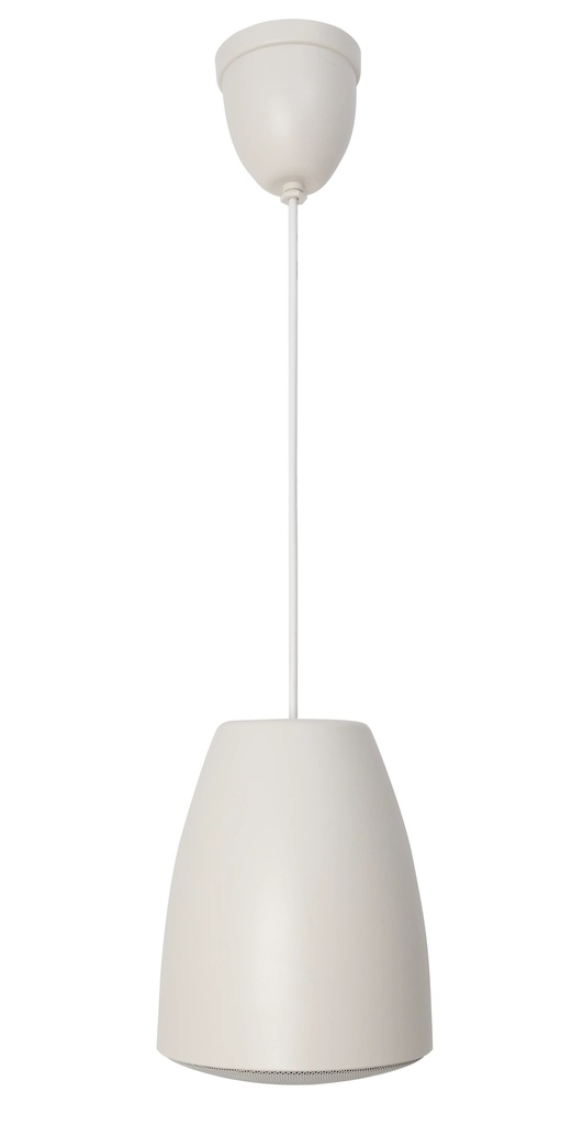 Haut-parleur suspendu avec transformateur de ligne 100 V et basse impédance