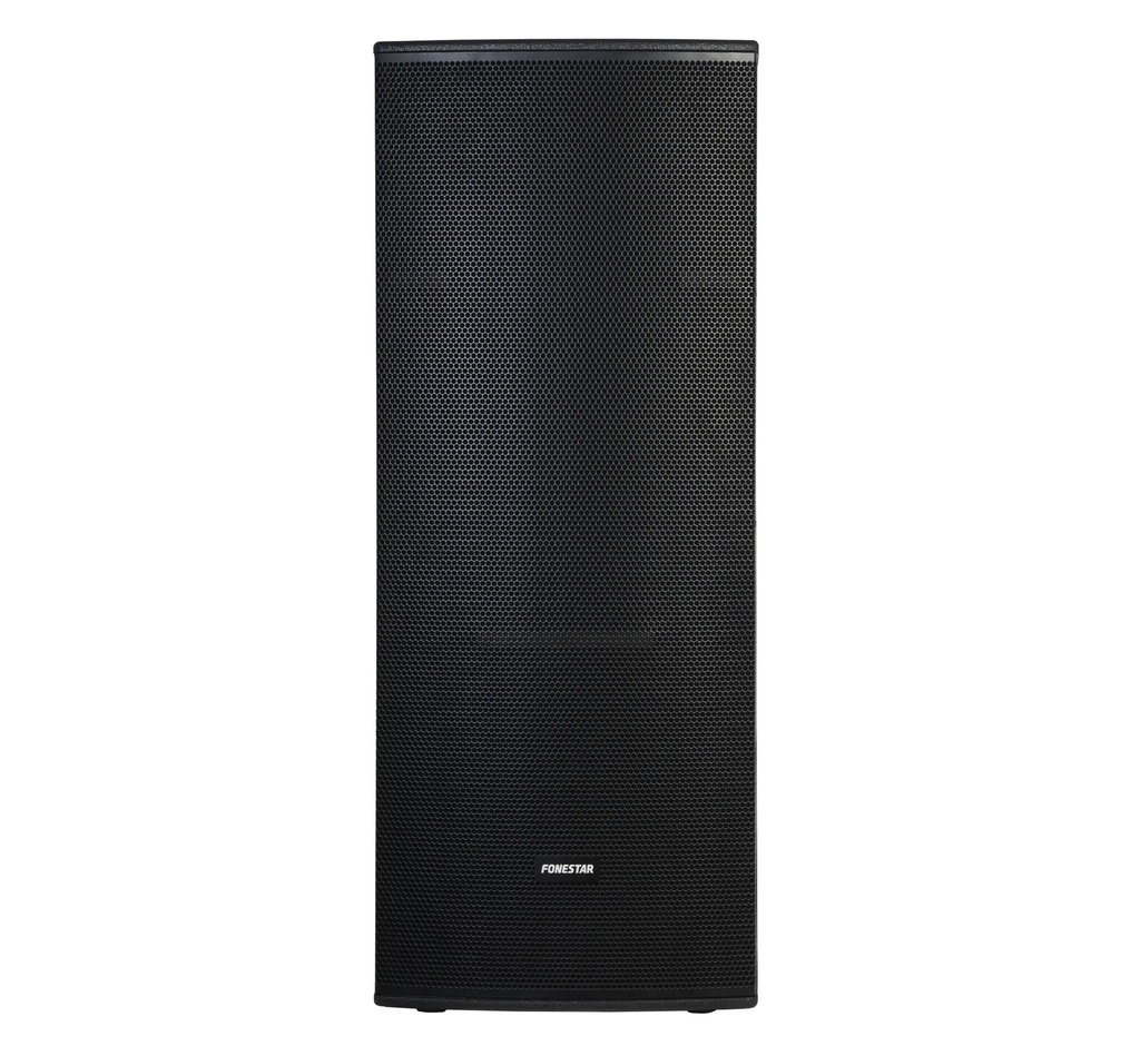 Haut-parleur haute puissance passif