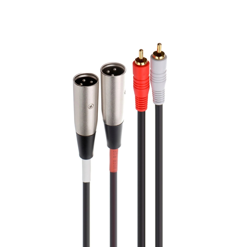 Câble audio 2 x RCA mm vers 2 x XLR mâle