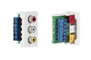 ½ panneau de connexion 3 x RCA