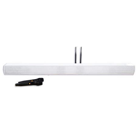 Colonne barre de son amplifiée 240W avec 2 micros main sans fil - Bluetooth