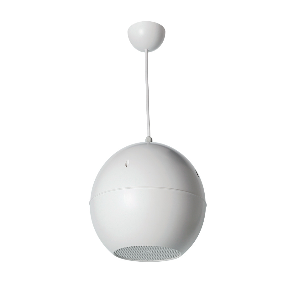 Enceinte sphérique suspendue Blanche - 10/5/2.5 W en 100V  - 2 voies