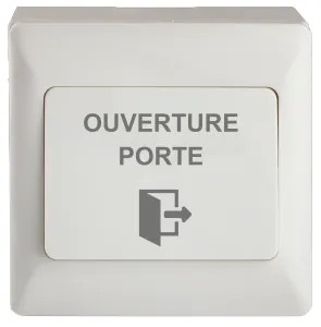 [IZX-EXS86AP] Bouton poussoir ABS, pour pose en applique, 86 x 86 x 38/44 mm, 1 contact inverseur CO/NO/NF, picto et texte OUVERTURE PORTE