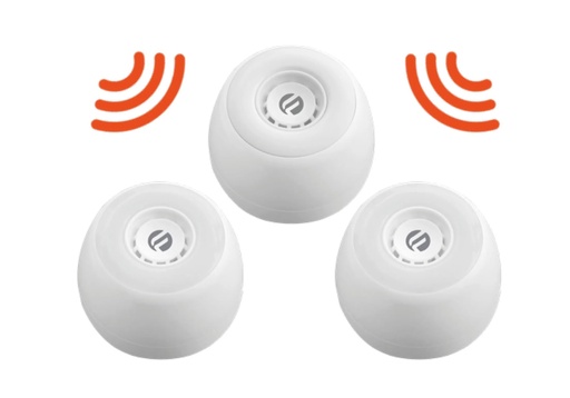 [FIN-ASL0027-FIN01] ECHO EDLR - Flash blanc Type 4 Radio