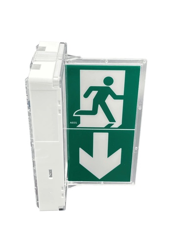 [TIV-4222333D] LUMIO 45 ST+ DRAPEAU BAES Evacuation 100% LED 45 lm / 1h / 0.9W 1.1VA / IP42 IK08 / SATI