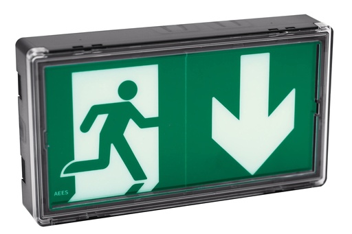 [TIV-4222155] LUMIO DBR ST+ NOIR BAES DBR 100% LED 45/90 lm / 1h / 0.9W 1.1VA / IP42 IK08 / SATI