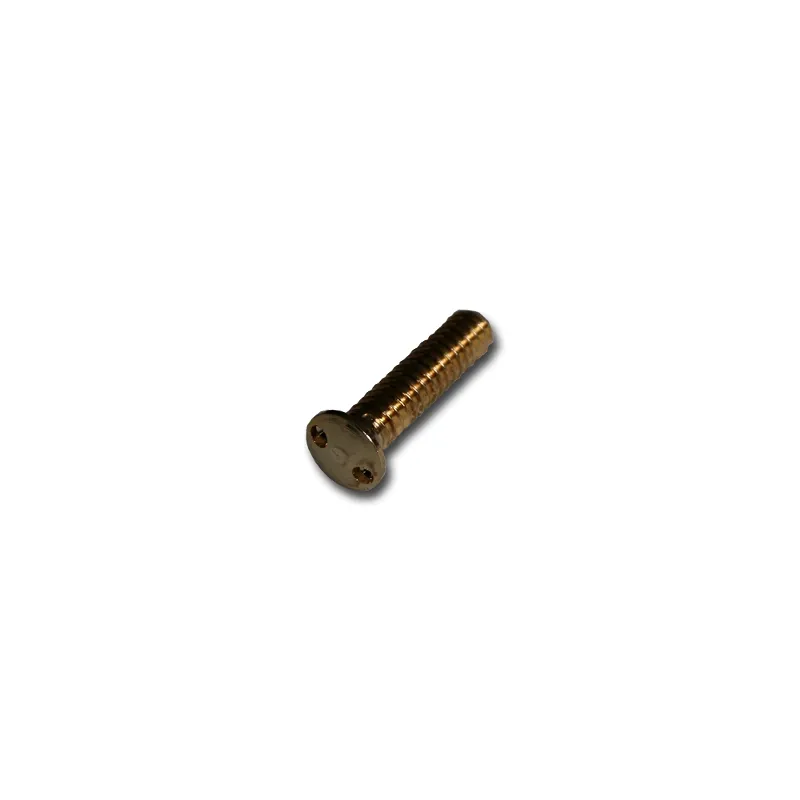 [EVI-URC31A/OR] Vis façade 2 trous de long 20 mm OR
