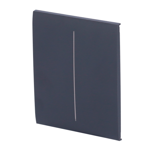 [AJA-CENTERBUTTON-2G-GRA] Panneau tactile pour double interrupteur d'éclairage  - Compatible avec AJ-LIGHTCORE-2G - Rétro-éclairage LED - Panneau tactile central sans contact - Couleur graphite - Ajax - LightSwitch CenterButton