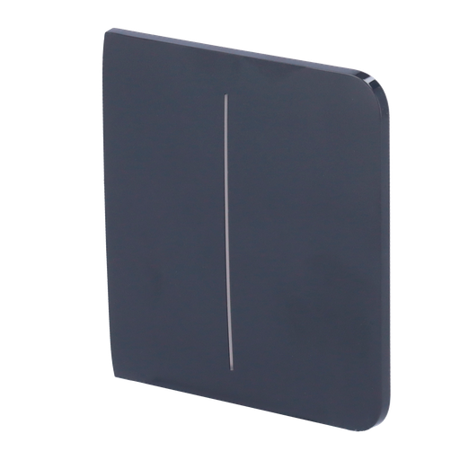 [AJA-SIDEBUTTON-2G-GRA] Panneau tactile pour double interrupteur d'éclairage - Compatible avec AJ-LIGHTCORE-2G - Rétro-éclairage LED - Panneau tactile latéral sans contact - Couleur graphite - Ajax - LightSwitch SideButton