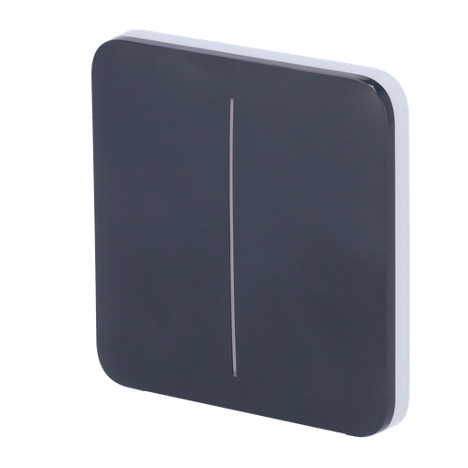 [AJA-SOLOBUTTON-2G-GRA] Panneau tactile pour double interrupteur d'éclairage  - Compatibilité avec AJ-LIGHTCORE-2G - Rétro-éclairage LED - Clavier tactile sans contact - Couleur graphite - Ajax - LightSwitch SoloButton