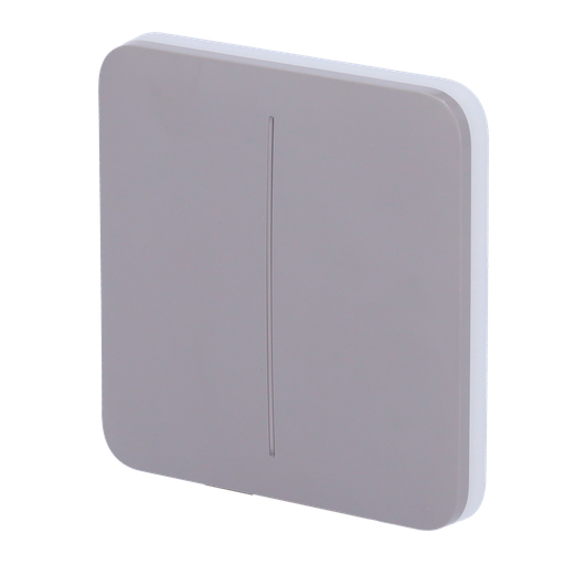 [AJA-SOLOBUTTON-2G-GRE] Panneau tactile pour double interrupteur d'éclairage  - Compatibilité avec AJ-LIGHTCORE-2G - Rétro-éclairage LED - Clavier tactile sans contact - Couleur Gris - Ajax - LightSwitch SoloButton